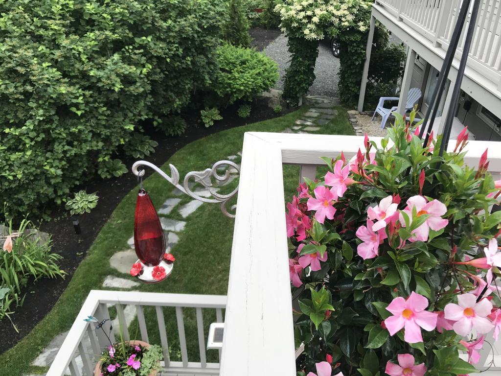 Dragonfly Guest House Ogunquit Eksteriør bilde